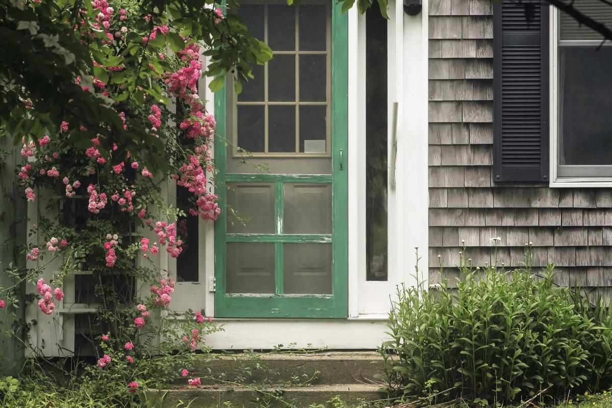 North Tisbury roses by Juleann VanBelle